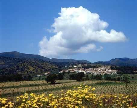 Casa Rural Alquiler Integro Cal Sisco Vilamaniscle Exteriér fotografie